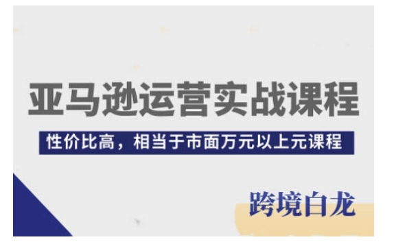 亚马逊运营实战课程，亚马逊从入门到精通，性价比高，相当于市面万元以上元课程聚合资源站-专注分享软件资料 全网资源  软件工具脚本 网络创业落地实操课程 – 全网首发_高质量项目输出聚合资源站