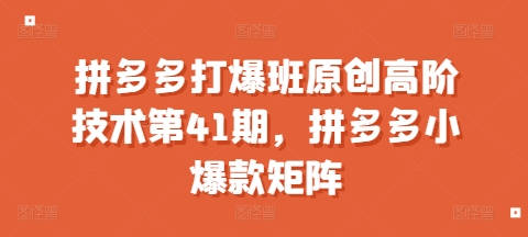 拼多多打爆班原创高阶技术第41期，拼多多小爆款矩阵聚合资源站-专注分享软件资料 全网资源  软件工具脚本 网络创业落地实操课程 – 全网首发_高质量项目输出聚合资源站