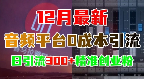 12月最新：音频平台0成本引流，日引流300+精准创业粉聚合资源站-专注分享软件资料 全网资源  软件工具脚本 网络创业落地实操课程 – 全网首发_高质量项目输出聚合资源站