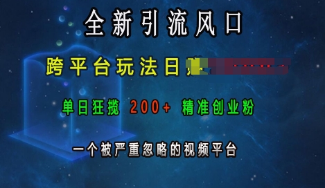 全新引流风口，跨平台玩法日入上k，单日狂揽200+精准创业粉，一个被严重忽略的视频平台聚合资源站-专注分享软件资料 全网资源  软件工具脚本 网络创业落地实操课程 – 全网首发_高质量项目输出聚合资源站