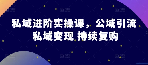 私域进阶实操课，公域引流 私域变现 持续复购聚合资源站-专注分享软件资料 全网资源  软件工具脚本 网络创业落地实操课程 – 全网首发_高质量项目输出聚合资源站