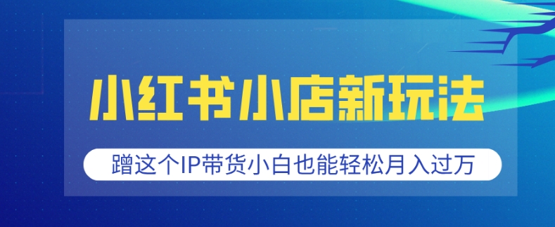 小红书小店新玩法，蹭这个IP带货，小白也能轻松月入过W【揭秘】聚合资源站-专注分享软件资料 全网资源  软件工具脚本 网络创业落地实操课程 – 全网首发_高质量项目输出聚合资源站