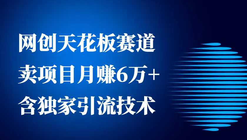 网创天花板赛道，卖项目月赚6万+，含独家引流技术(共26节课)聚合资源站-专注分享软件资料 全网资源  软件工具脚本 网络创业落地实操课程 – 全网首发_高质量项目输出聚合资源站