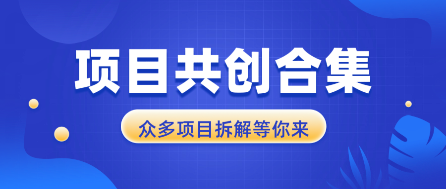 项目共创合集，从0-1全过程拆解，让你迅速找到适合自已的项目聚合资源站-专注分享软件资料 全网资源  软件工具脚本 网络创业落地实操课程 – 全网首发_高质量项目输出聚合资源站